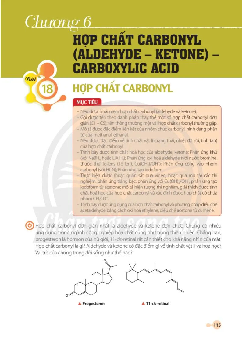 Bài 18. Hợp chất carbonyl