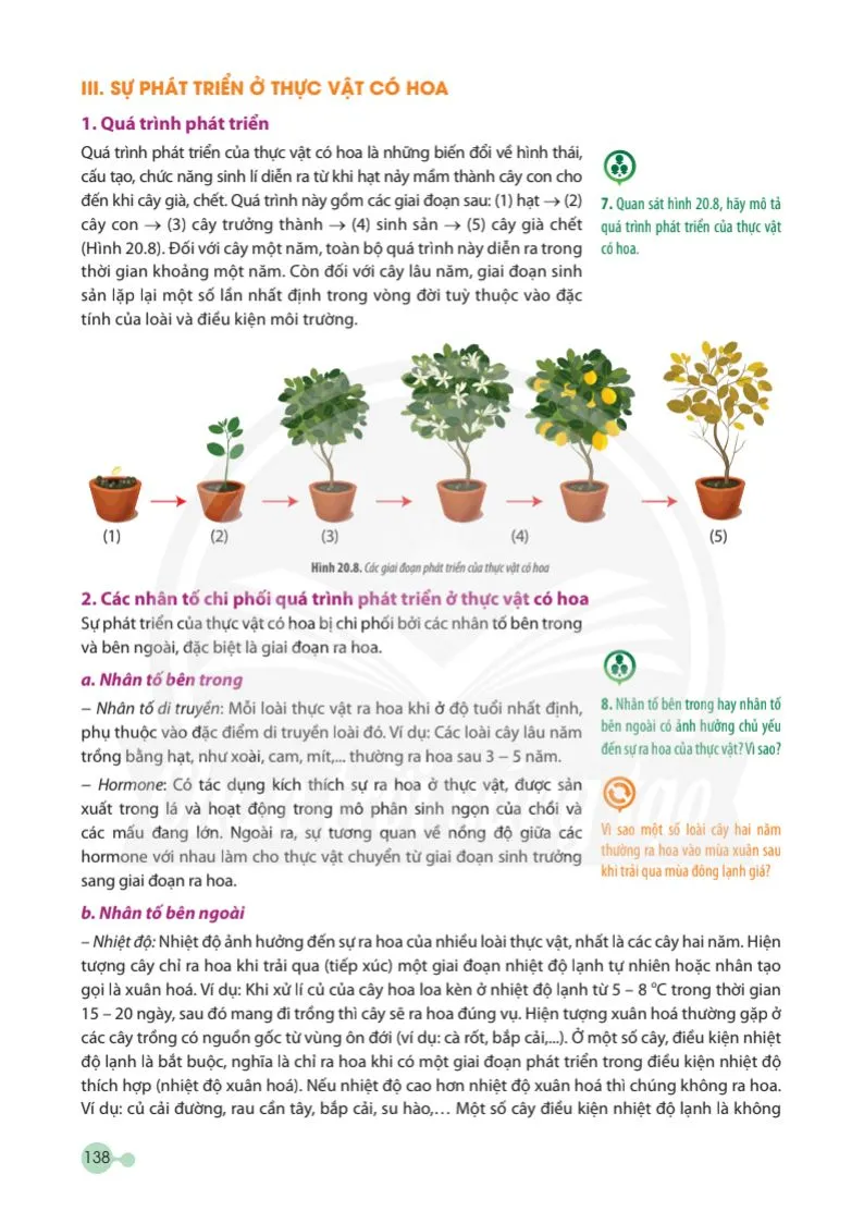 Bài 20: Sinh trưởng và phát triển ở thực vật .