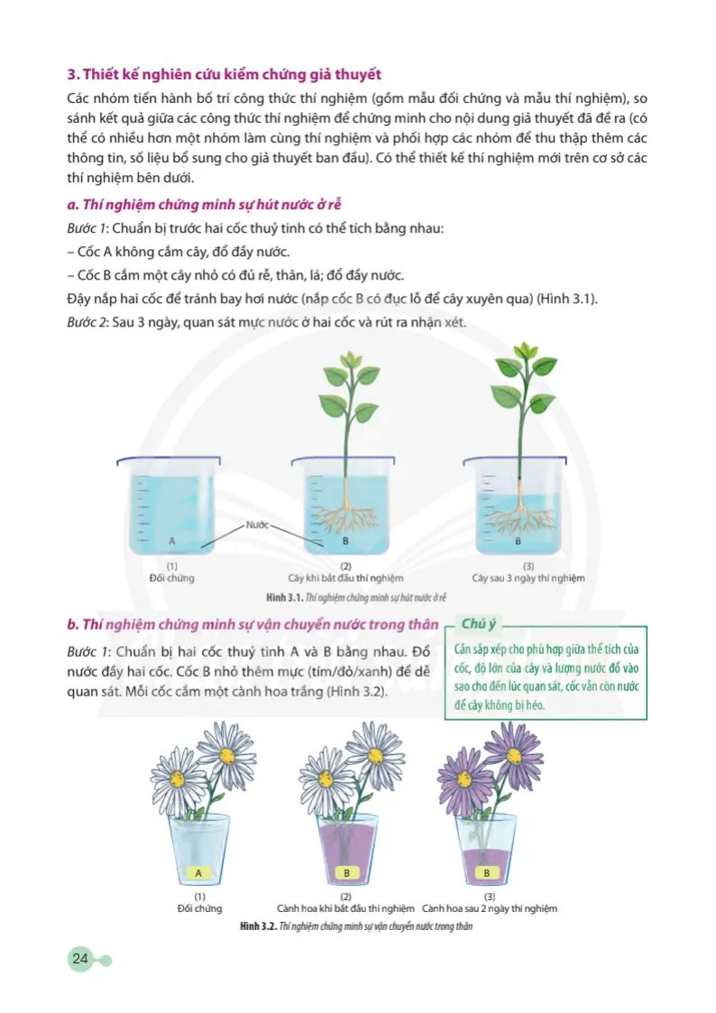 Bài 3: Thực hành: Thí nghiệm trao đổi nước ở thực vật và trồng cây bằng thuỷ canh, khí canh