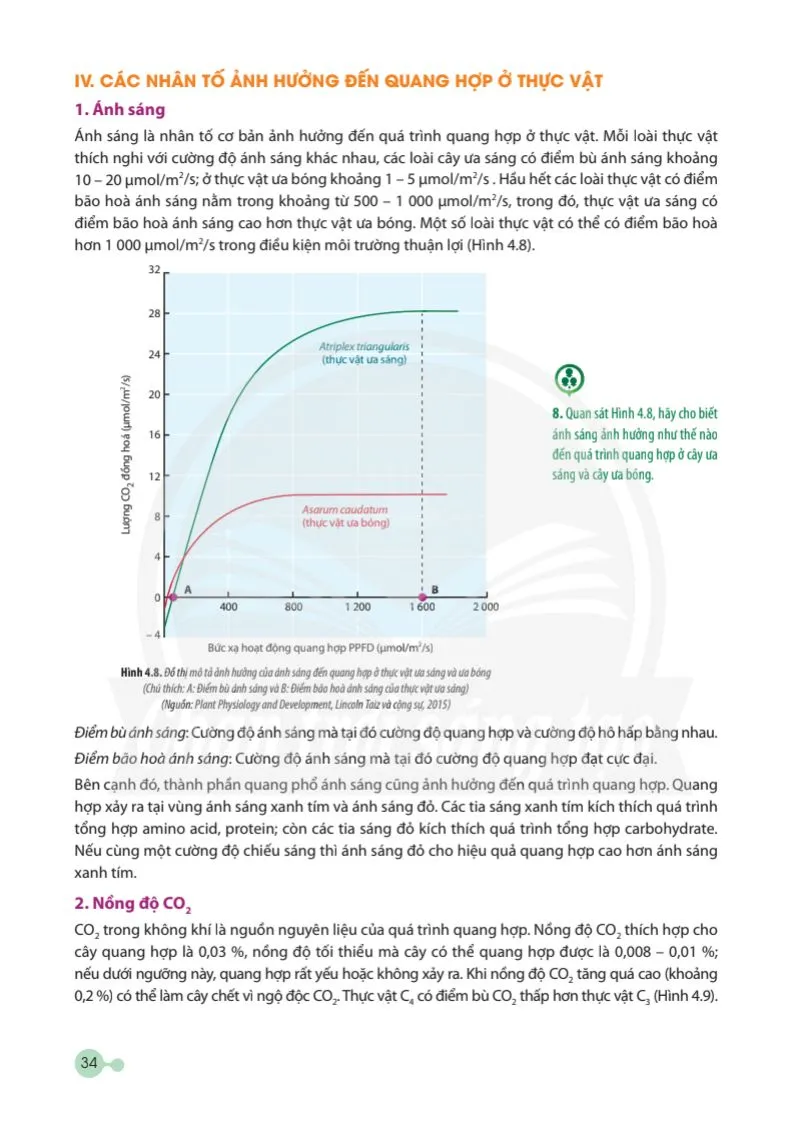 Bài 4: Quang hợp ở thực vật 