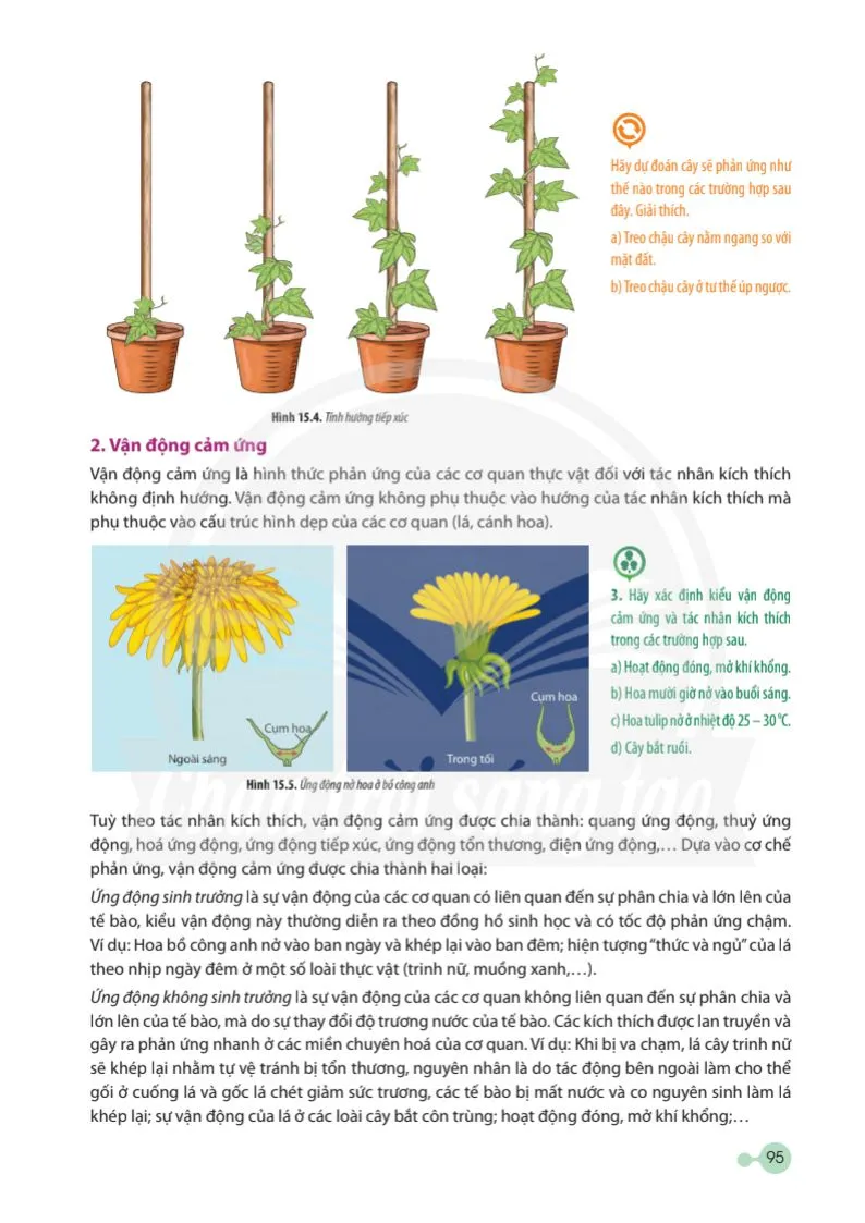 Bài 15: Cảm ứng ở thực vật .