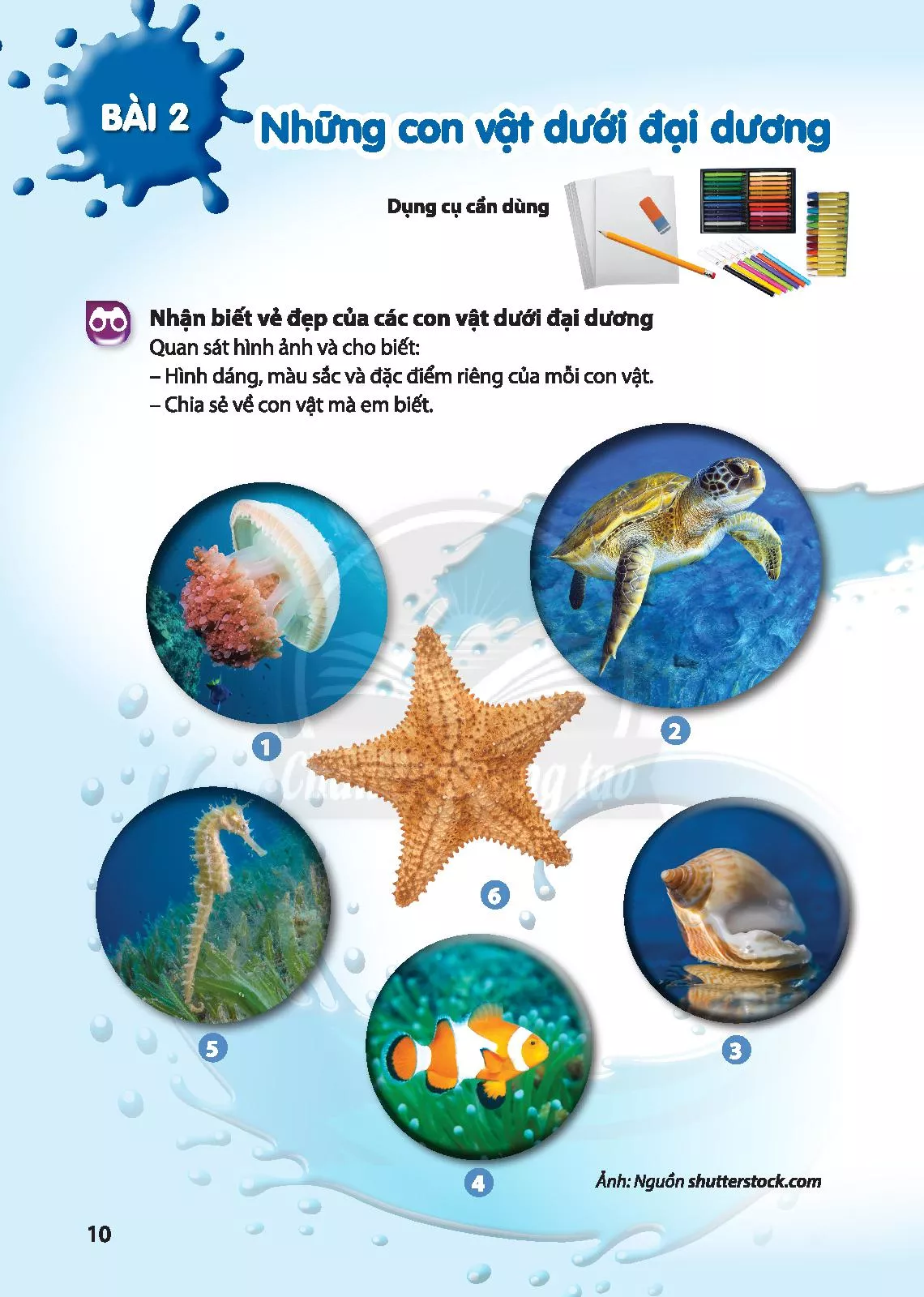 Sgk Scan] ✓ Bài 2: Những Con Vật Dưới Đại Dương - Sách Giáo Khoa - Học  Online Cùng Sachgiaibaitap.Com