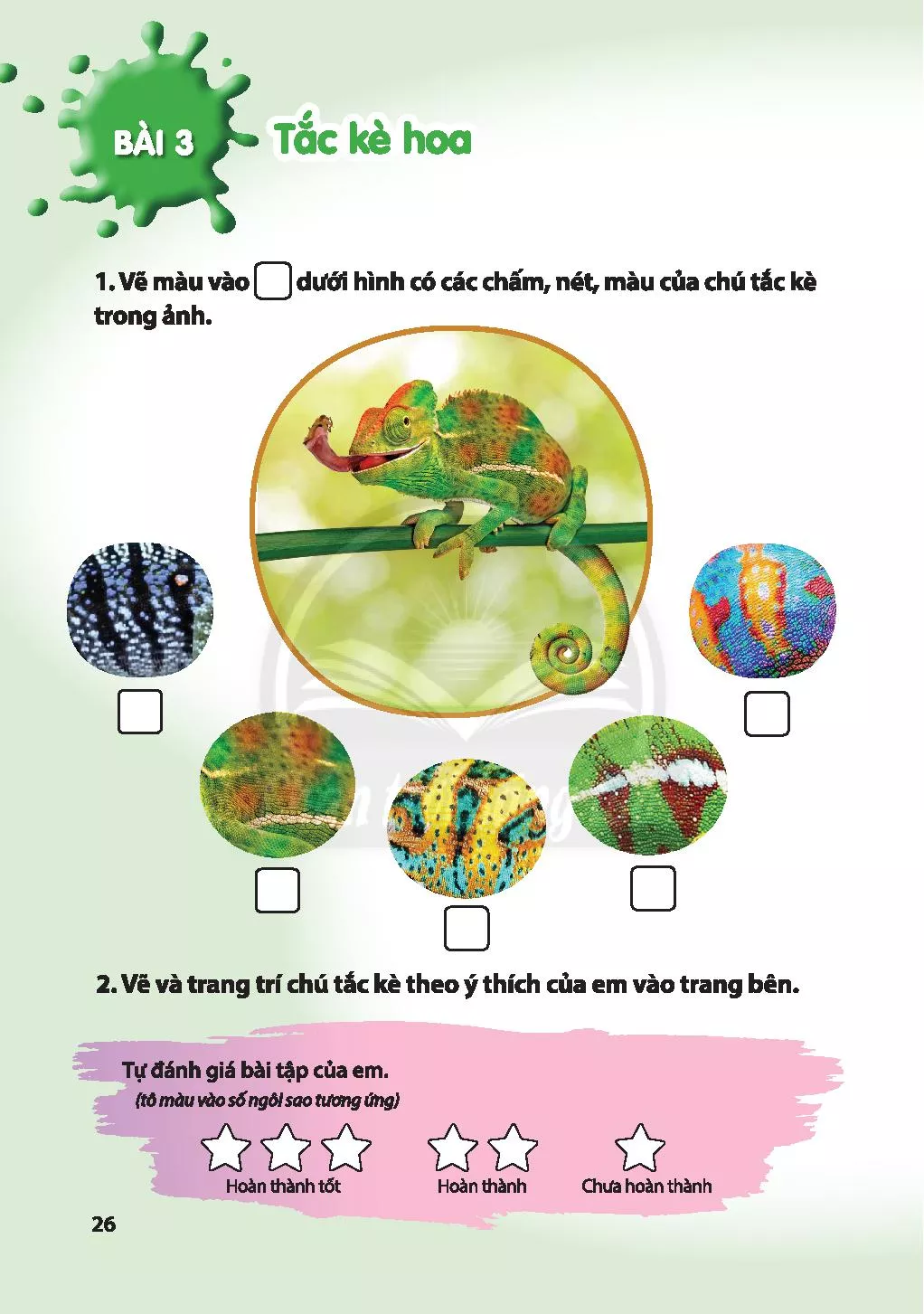 Vẽ tắc kè hoa lớp 2 là một hoạt động thú vị và bổ ích để giúp trẻ phát triển khả năng tư duy hình ảnh. Hãy xem hình ảnh liên quan để khám phá những tác phẩm đáng yêu của các em nhỏ.
