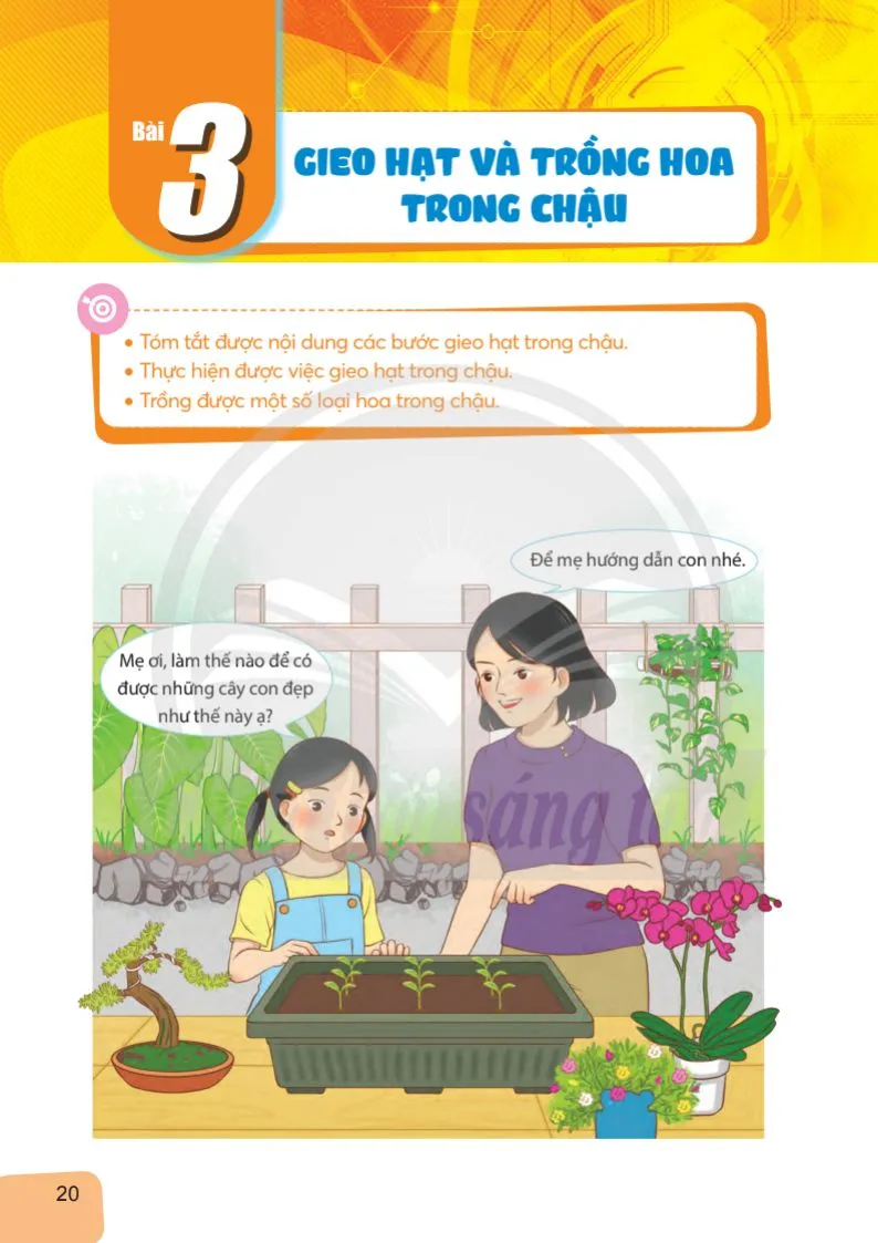 Bài 3. Gieo hạt và trồng hoa trong chậu