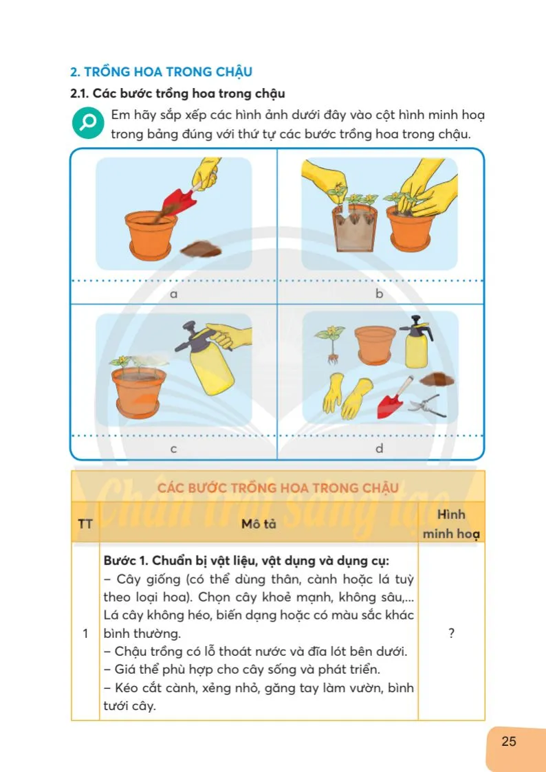 Bài 3. Gieo hạt và trồng hoa trong chậu