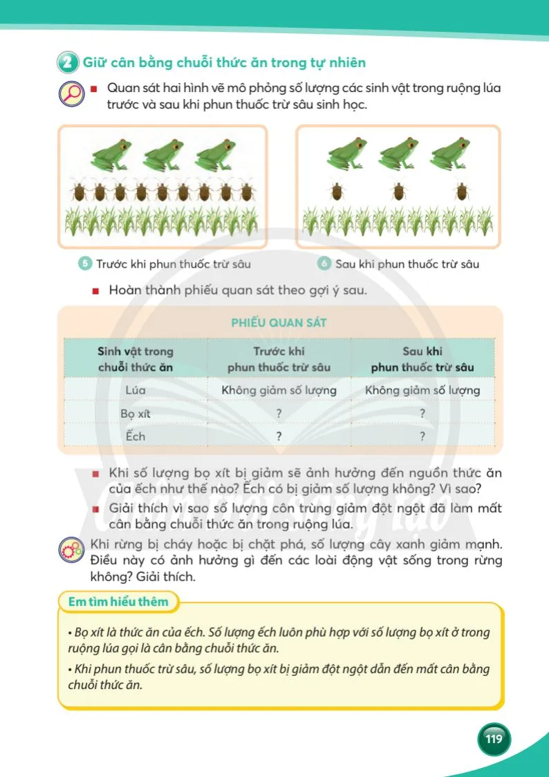 Bài 31. Vai trò của thực vật trong chuỗi thức ăn .