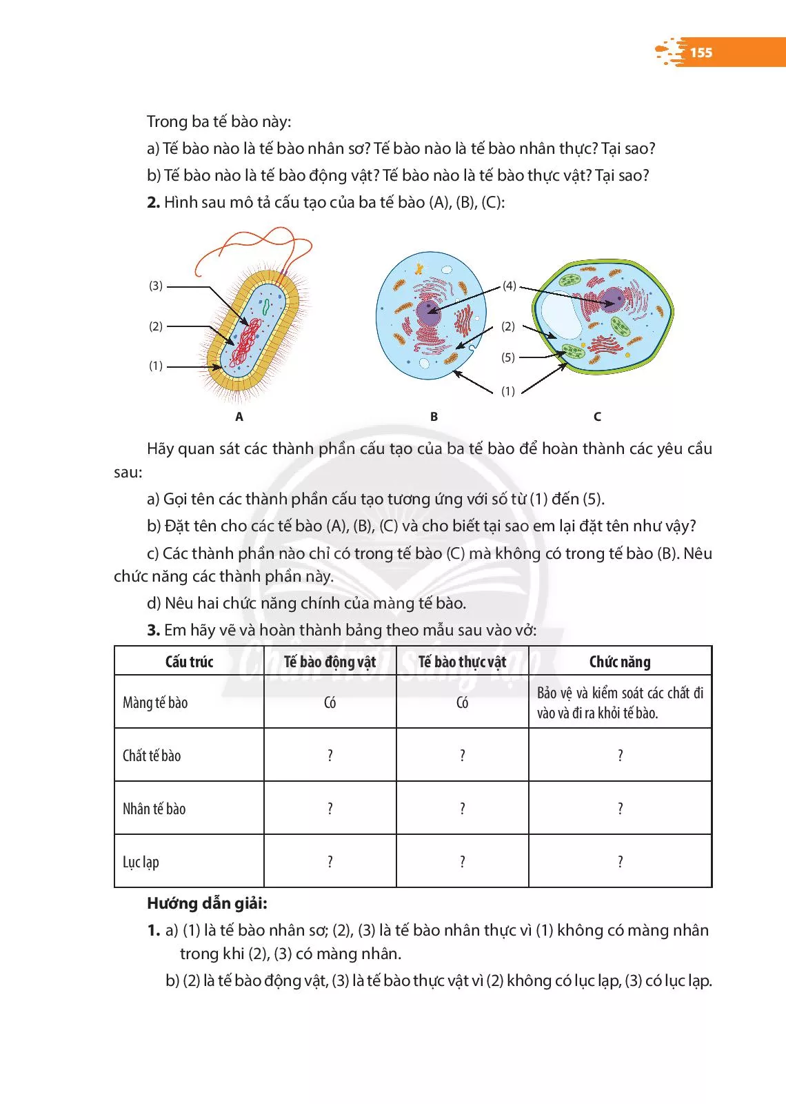 Bài 19. Cơ thể đơn bào và cơ thể đa bào 