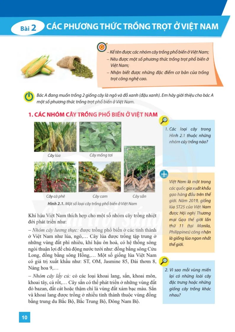 Bài 3. Quy trình trồng trọt