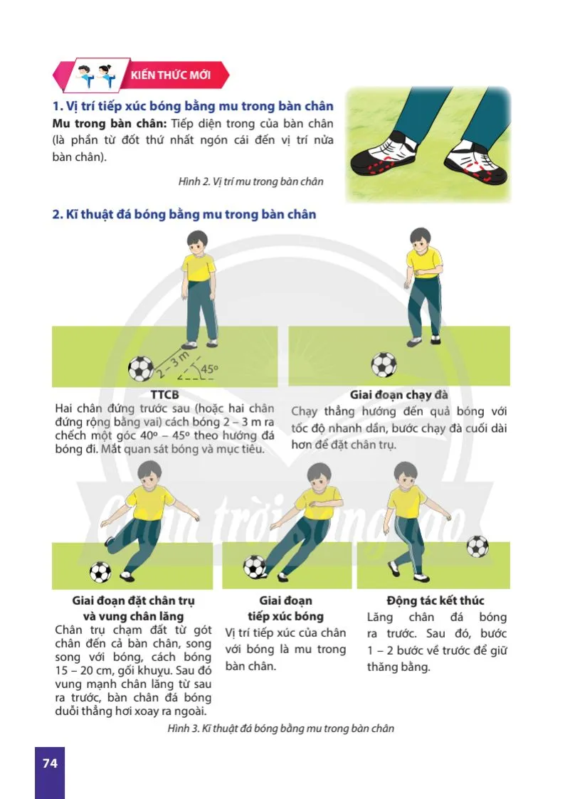 Bài 2. Kĩ thuật đá bóng bằng mu trong bàn chân.
