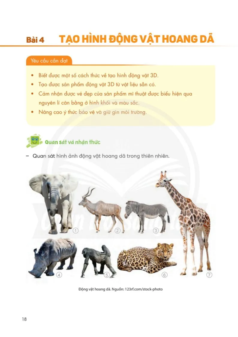 Bài 4: Tạo hình động vật hoang dã 