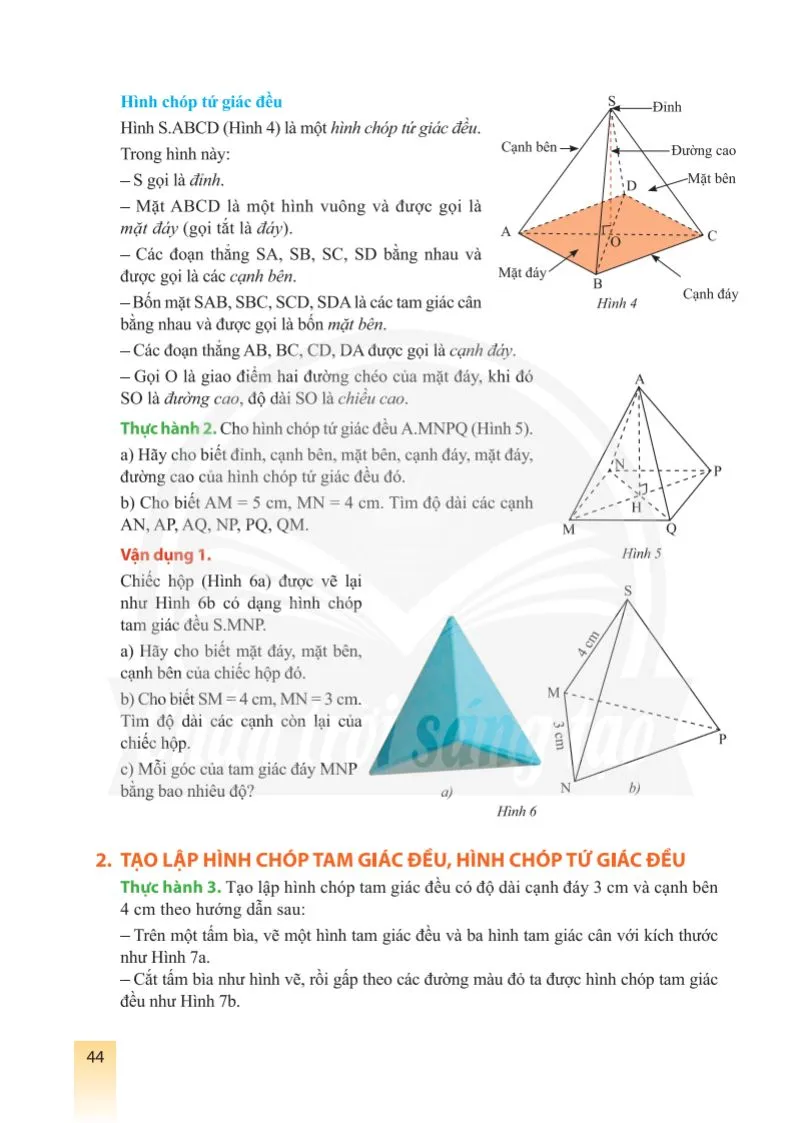 Bài 1. Hình chóp tam giác đều – Hình chóp tứ giác đều