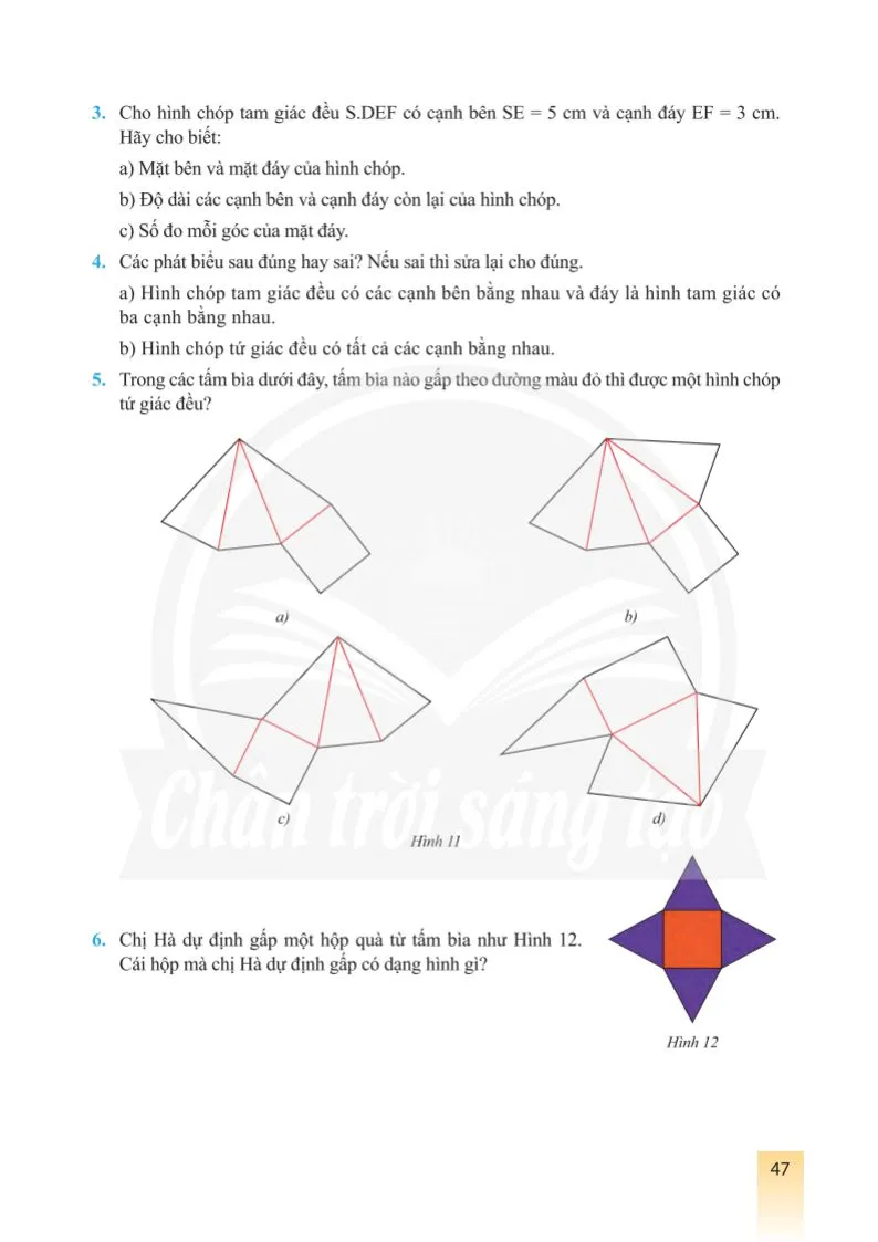 Bài 1. Hình chóp tam giác đều – Hình chóp tứ giác đều