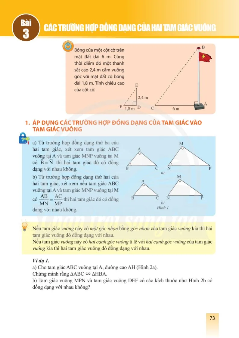 Bài 3. Các trường hợp đồng dạng của hai tam giác vuông 