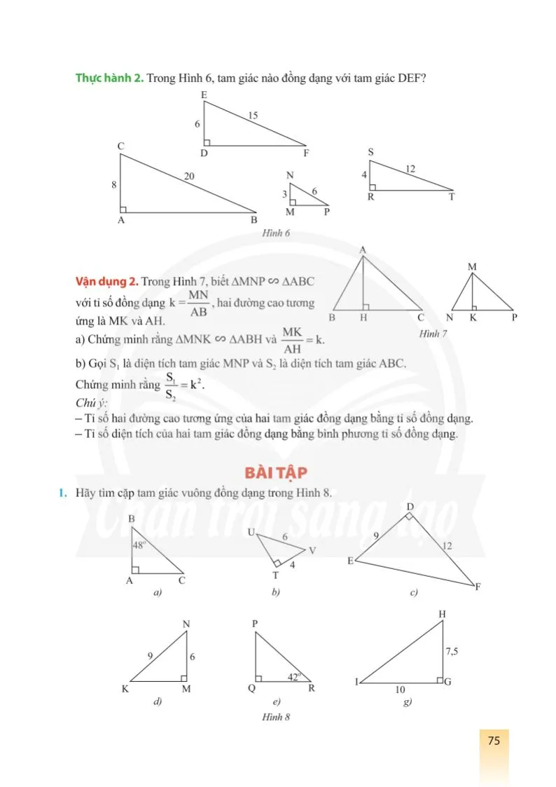 Bài 3. Các trường hợp đồng dạng của hai tam giác vuông 