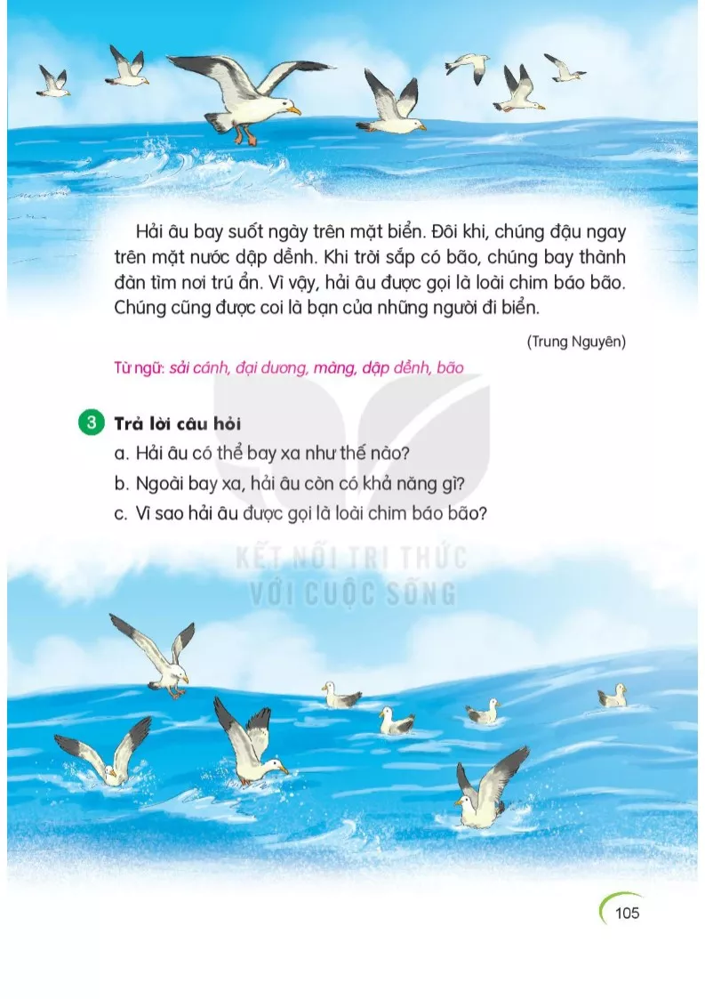 Bài 1: Loài chim của biển cả 