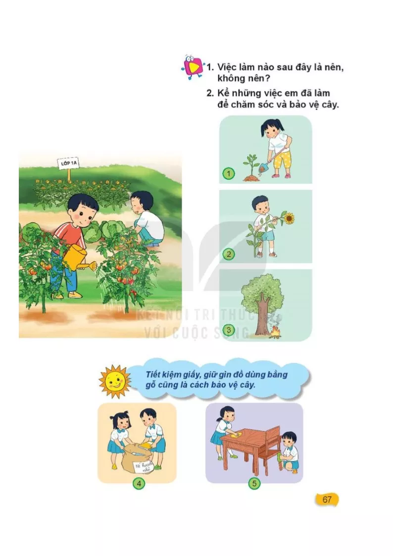 Bài 16: Chăm sóc và bảo vệ cây trồng 