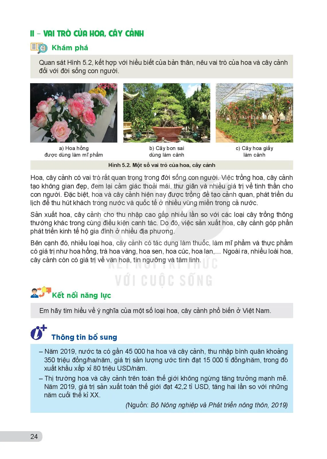 Bài 5. Giới thiệu về hoa, cây cảnh