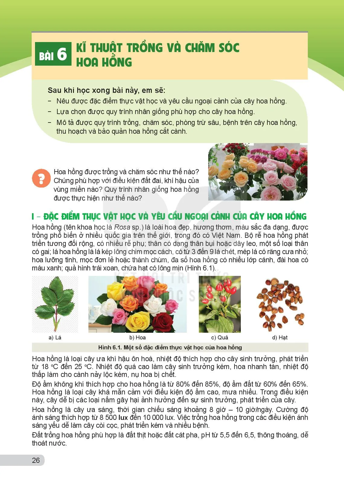 Bài 5. Giới thiệu về hoa, cây cảnh