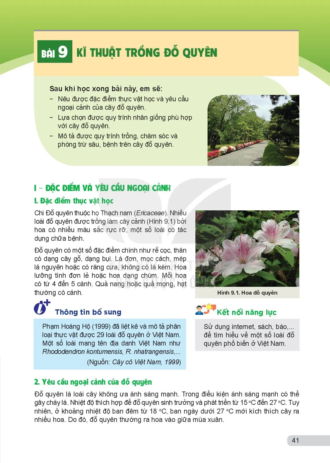 Bài 9. Kĩ thuật trồng đỗ quyên CUÔNG SỐNG