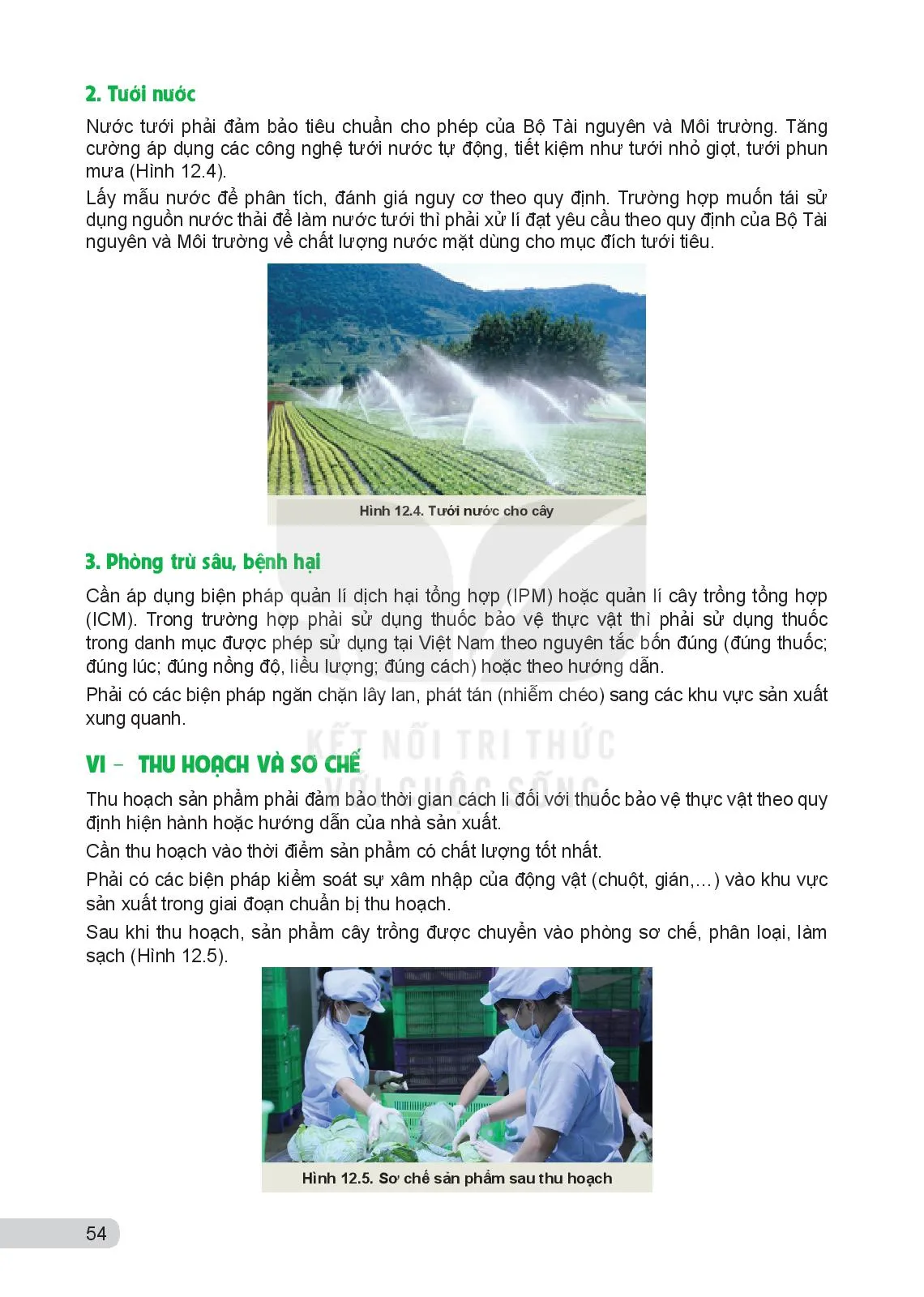 Bài 12. Các bước trong quy trình trồng trọt theo tiêu chuẩn VietGAP