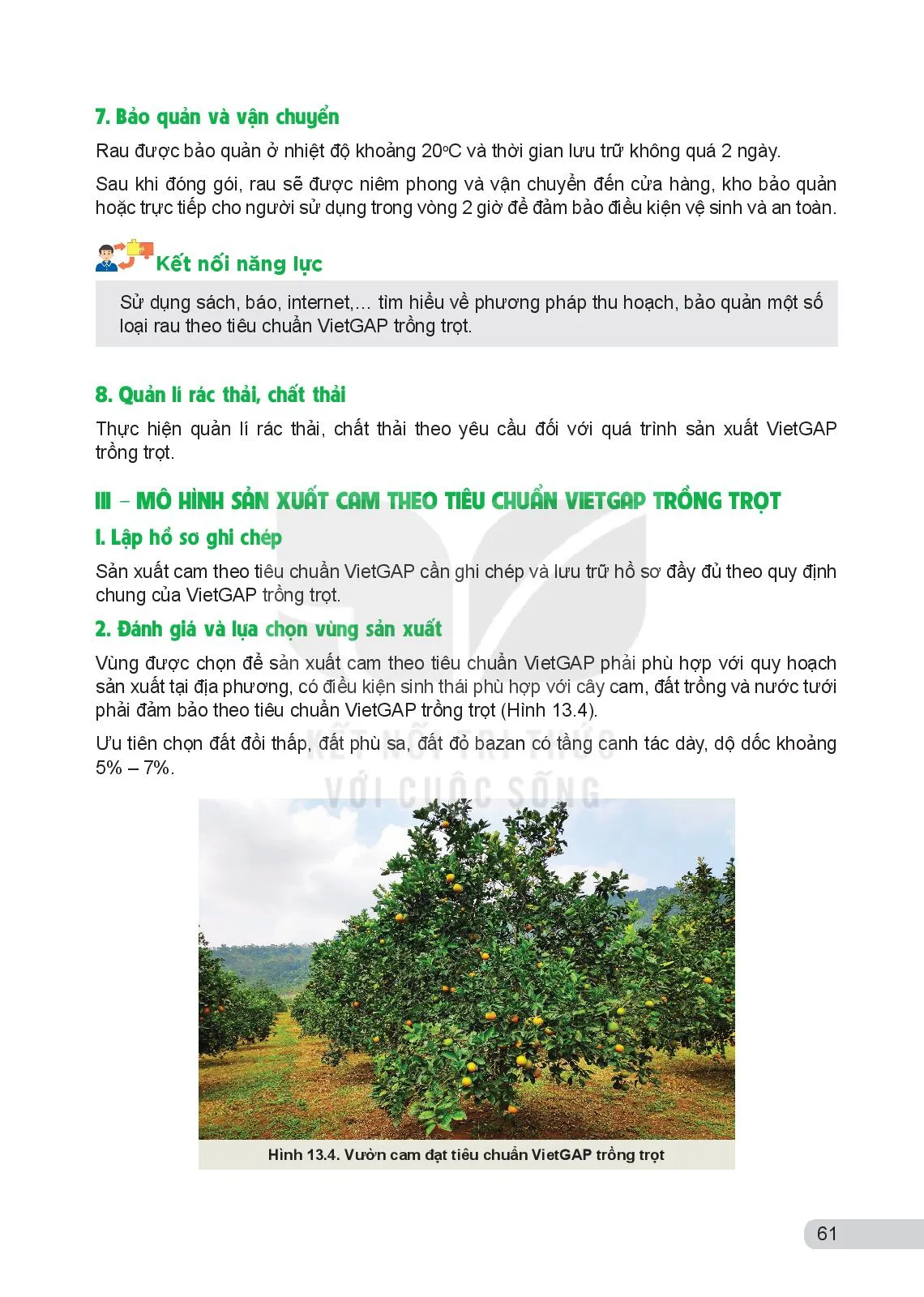 Bài 13. Một số mô hình trồng trọt theo tiêu chuẩn VietGAP