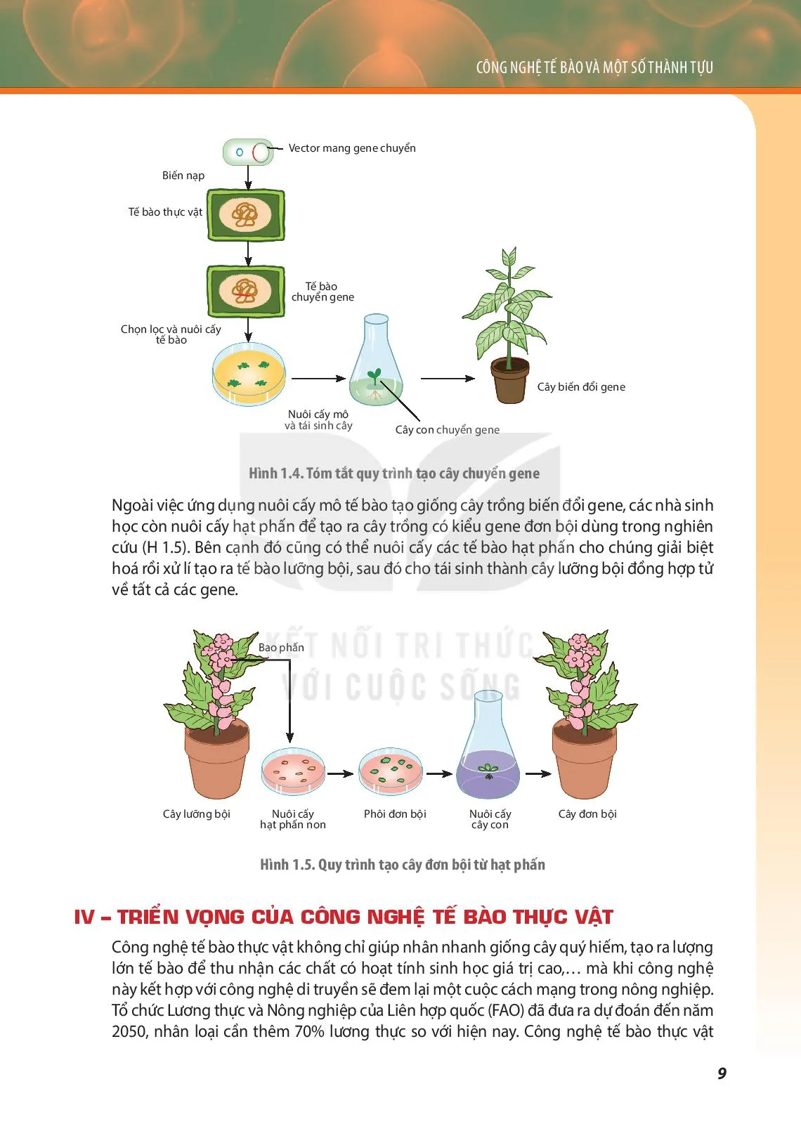 Bài 1. Công nghệ tế bào thực vật và thành tựu