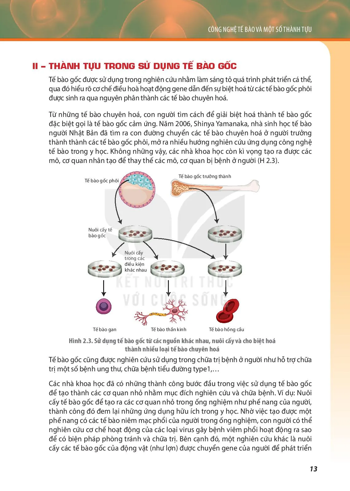Bài 2. Tế bào gốc và một số thành tựu