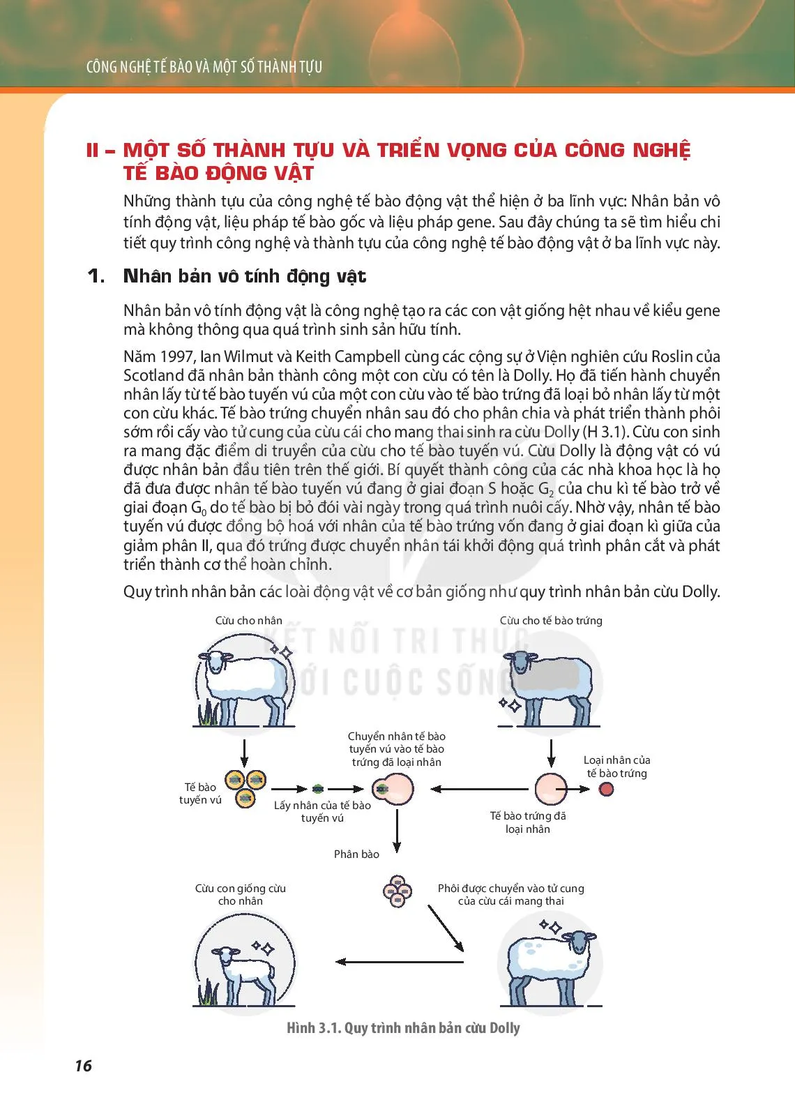 Bài 3. Công nghệ tế bào động vật và thành tựu