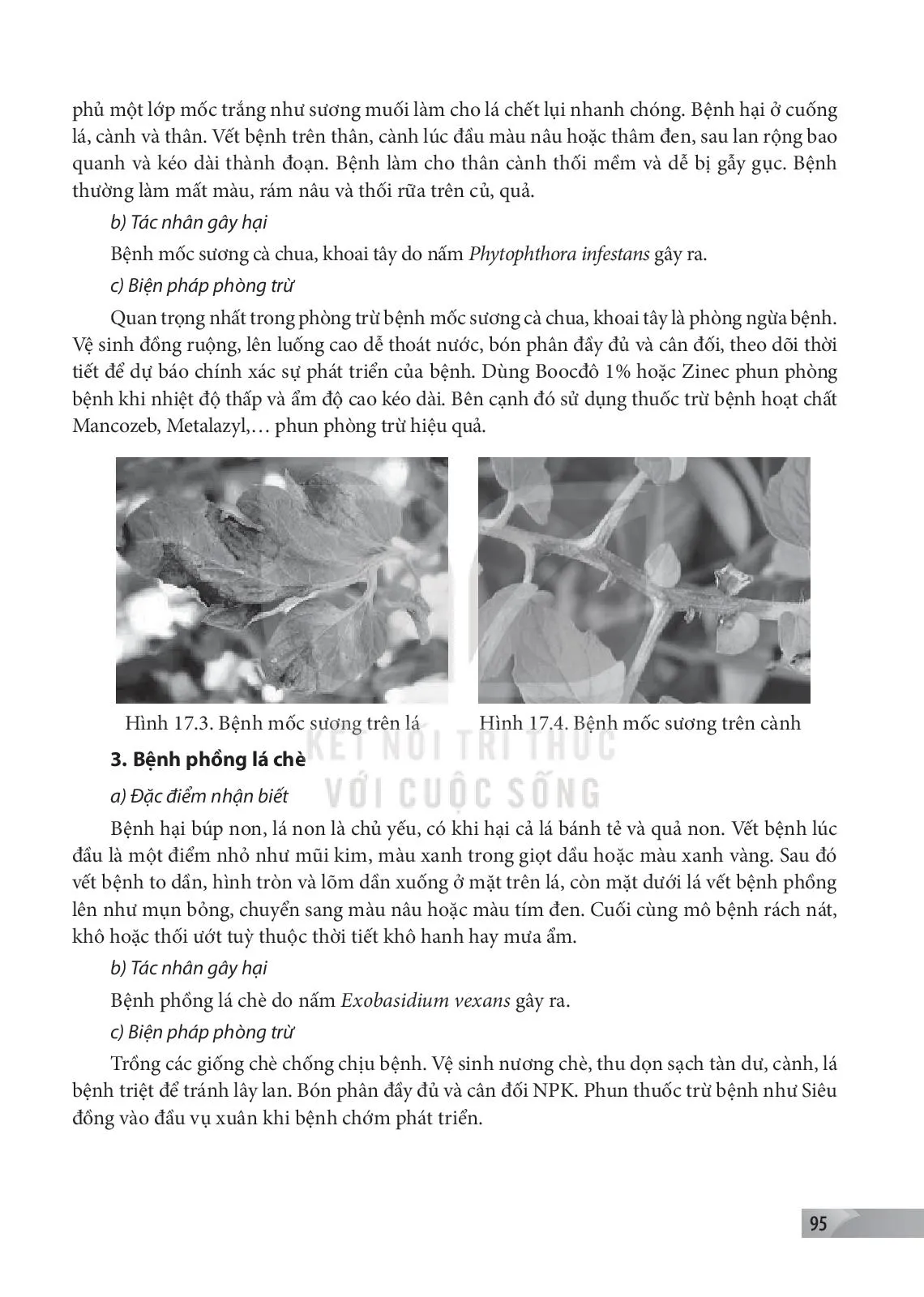 Bài 17. Một số bệnh hại cây trồng thường gặp và biện pháp phòng trừ