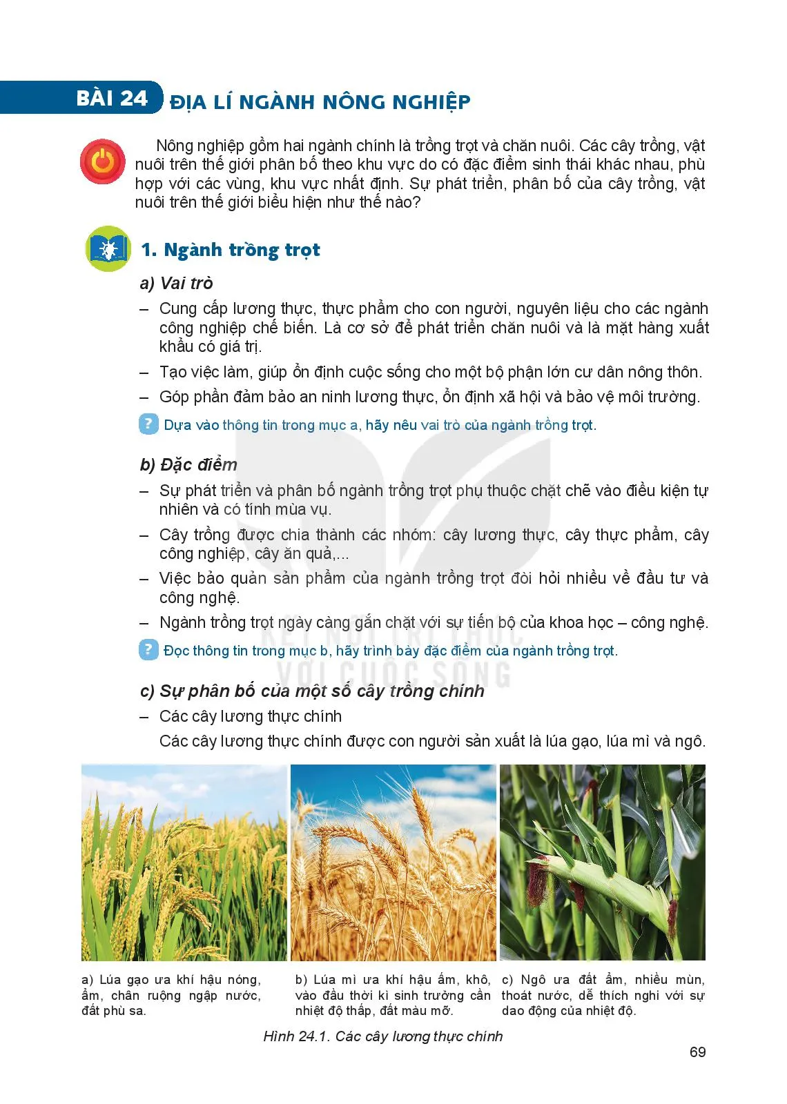 Bài 24 Địa lí ngành nông nghiệp