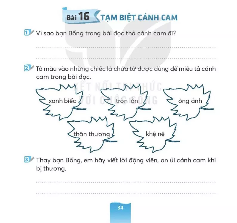 Bài 16. Tạm biệt cánh cam