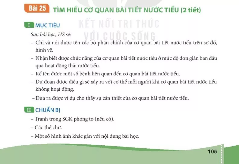 Bài 25 Tìm hiểu cơ quan bài tiết nước tiểu 