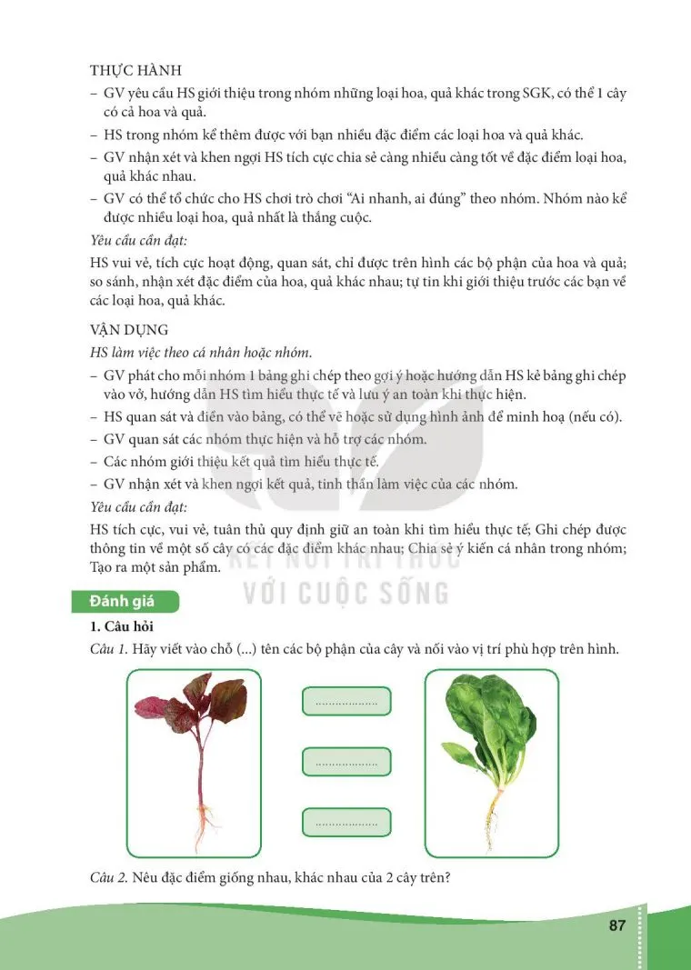 Bài 13. Một số bộ phận của thực vật (3 tiết)