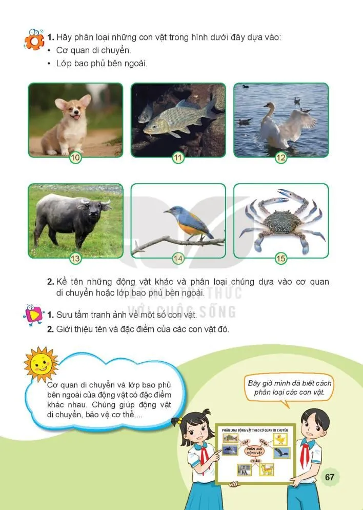 Bài 15 Một số bộ phận của động vật và chức năng của chúng