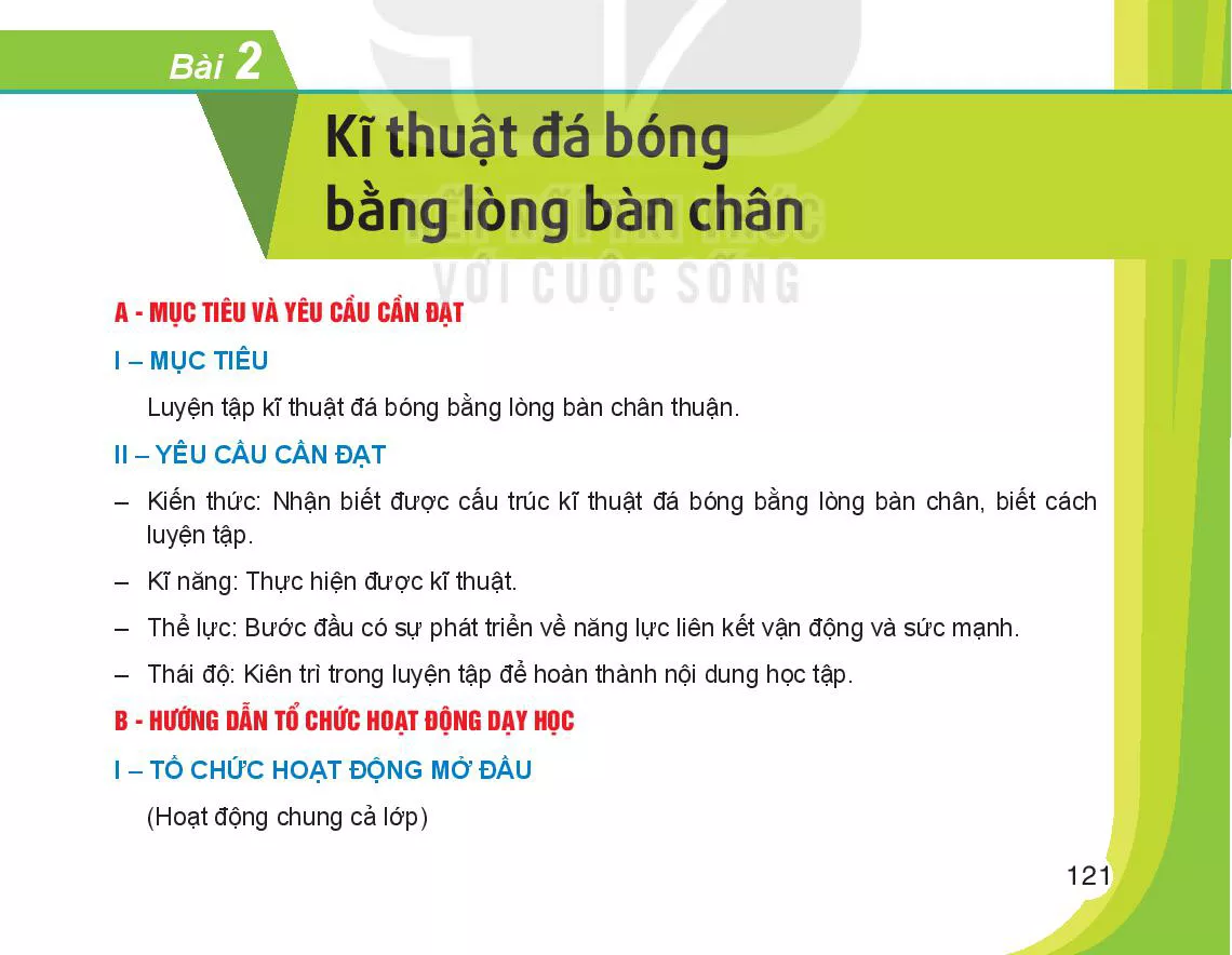 Bài 2. Kĩ thuật đá bóng bằng lòng bàn chân 