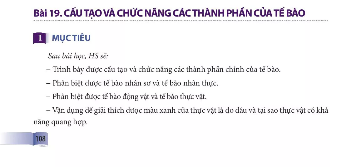 Bài 19. Cấu tạo và chức năng các thành phần của tế bào 