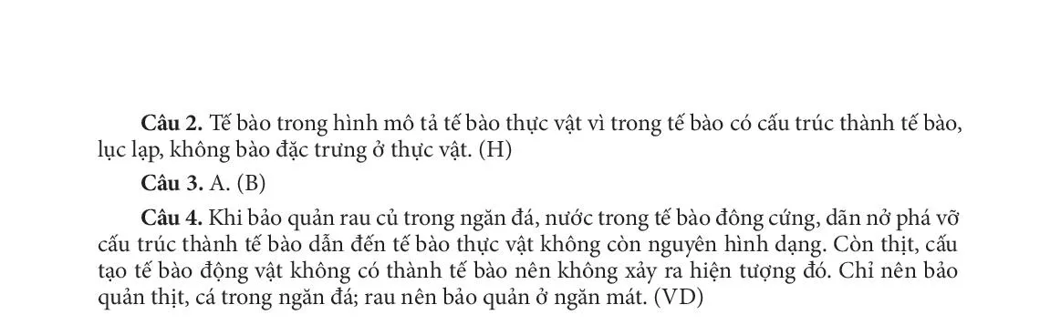 Bài 19. Cấu tạo và chức năng các thành phần của tế bào 