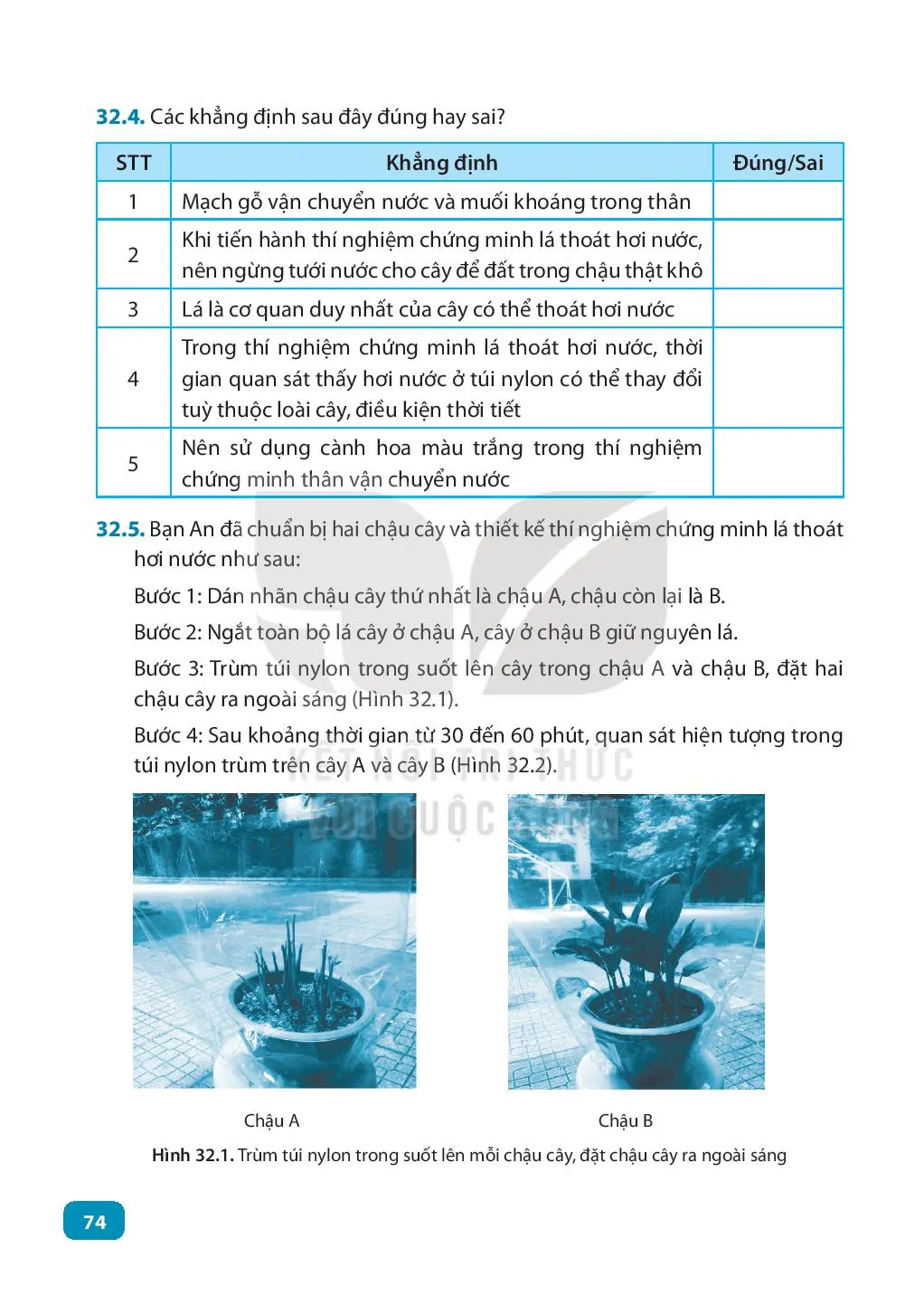 Bài 32 Thực hành: Chứng minh thân vận chuyển nước và lá thoát hơi nước