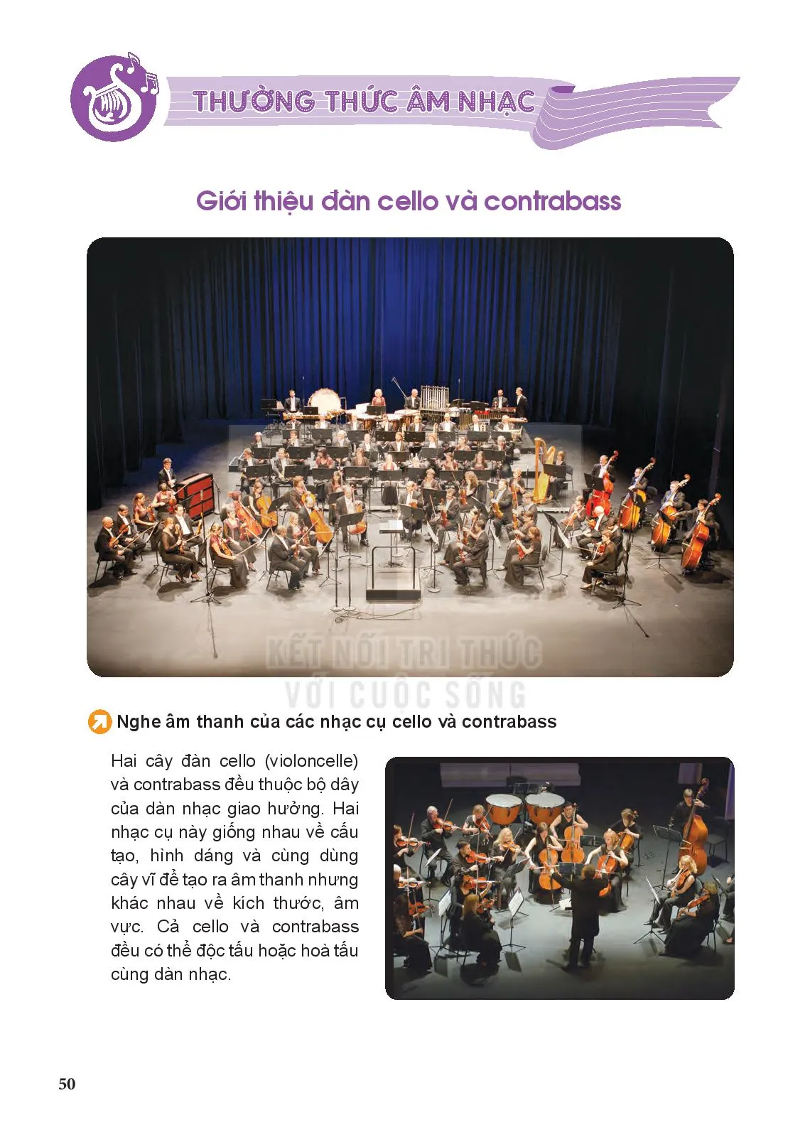 Thưởng thức âm nhạc: Giới thiệu đàn cello và contrabass