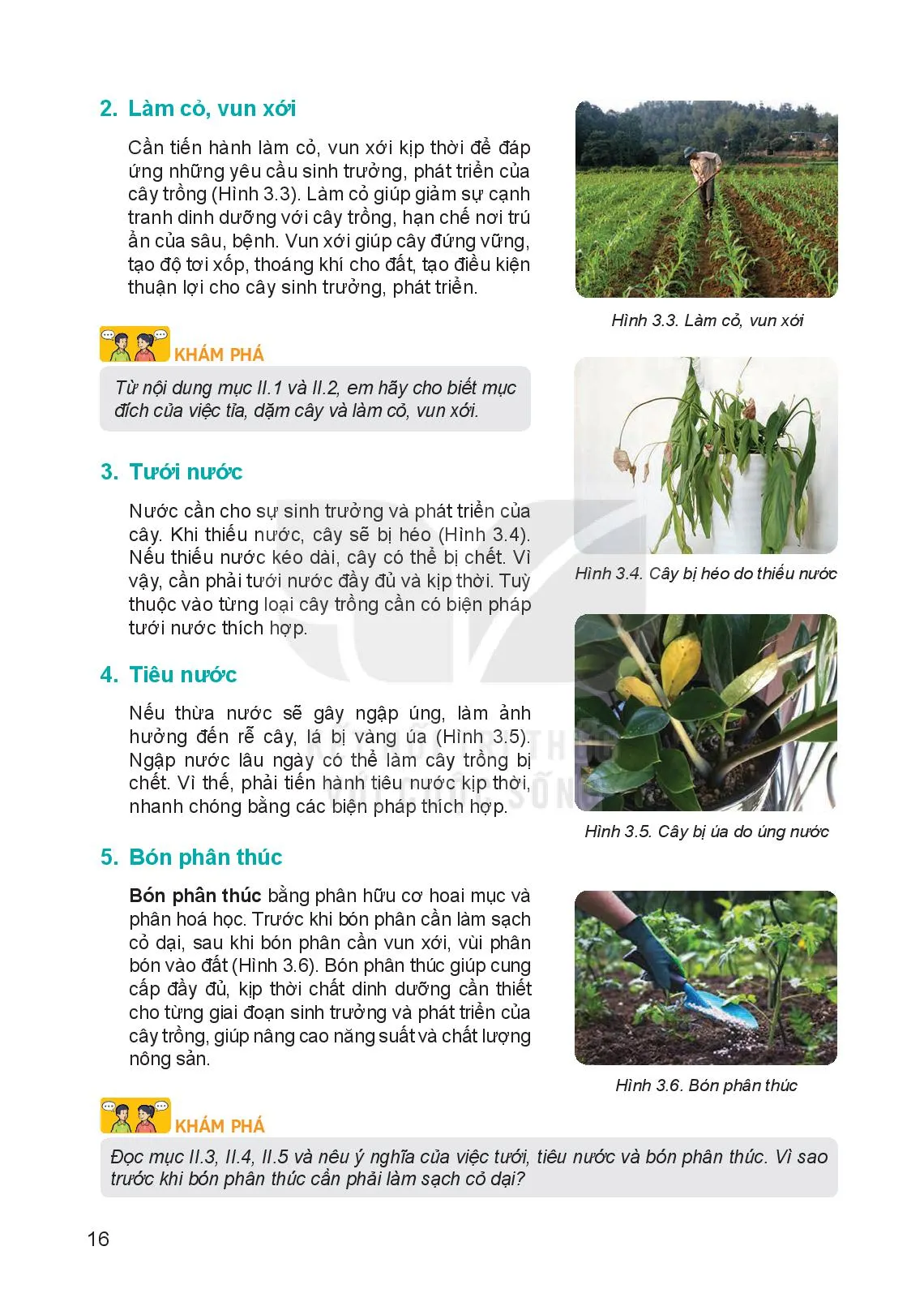Bài 3. Gieo trồng, chăm sóc và phòng trừ sâu, bệnh cho cây trồng