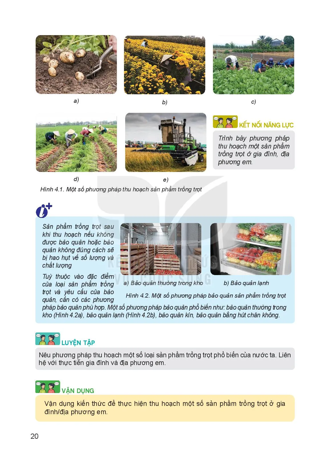 Bài 4. Thu hoạch sản phẩm trồng trọt