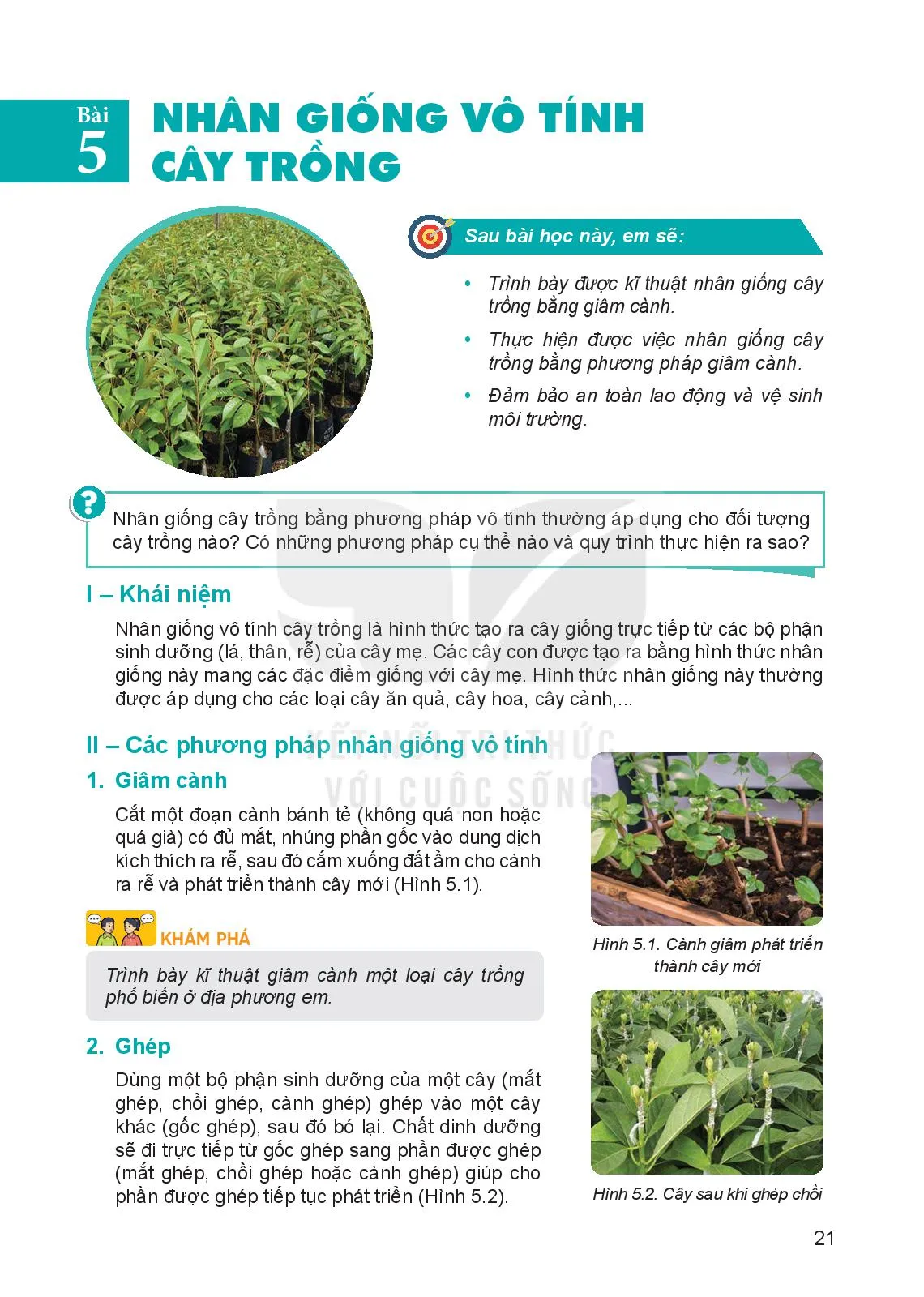 Bài 4. Thu hoạch sản phẩm trồng trọt