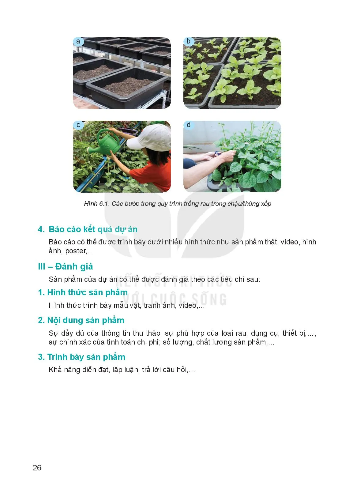 Bài 6. Dự án trồng rau an toàn 