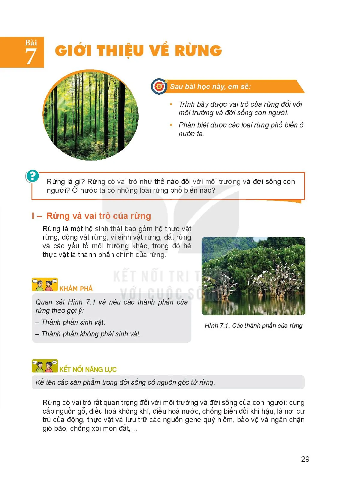 Bài 7. Giới thiệu về rừng