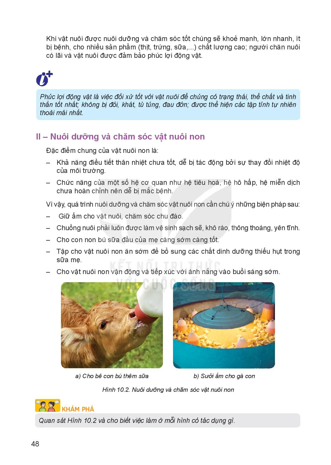 Bài 10. Nuôi dưỡng và chăm sóc vật nuôi