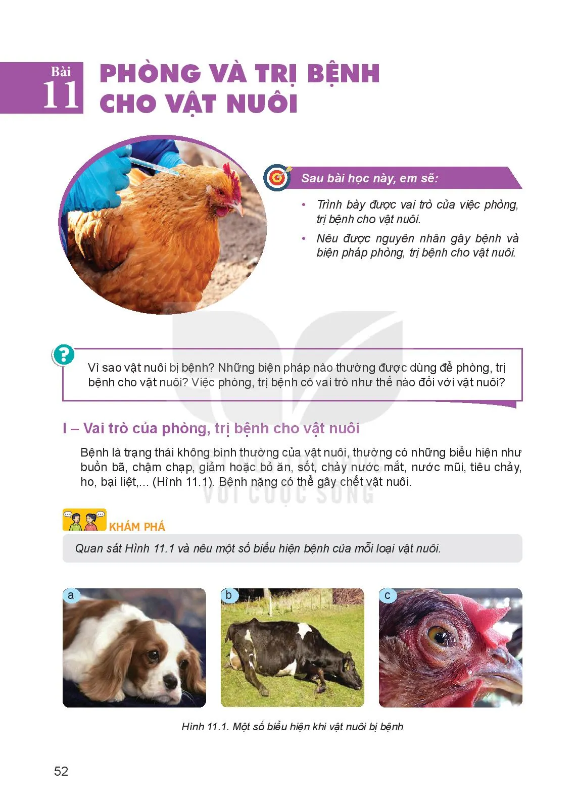 Bài 11. Phòng và trị bệnh cho vật nuôi