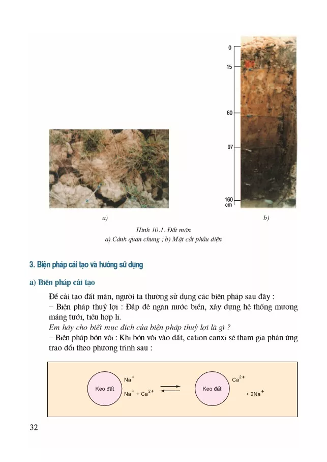 Bài 10. Biện pháp cải tạo và sử dụng đất mặn, đất phèn