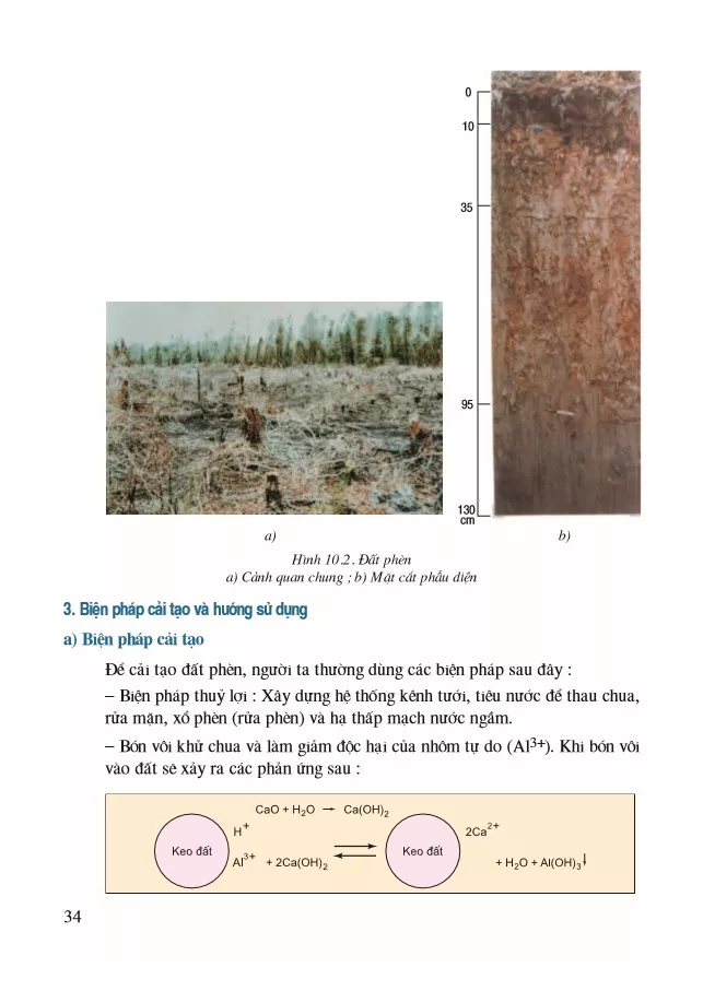 Bài 10. Biện pháp cải tạo và sử dụng đất mặn, đất phèn