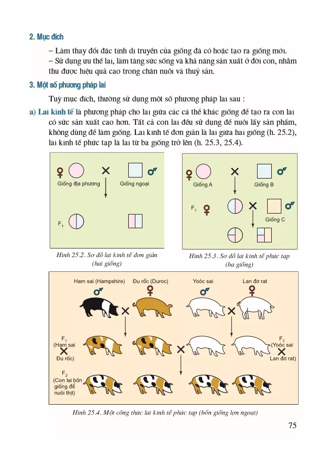 Bài 25. Các phương pháp nhân giống vật nuôi và thuỷ sản