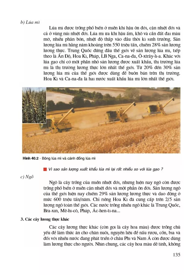 Bài 40. Địa lí ngành trồng trọt